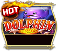 Dolphin OP