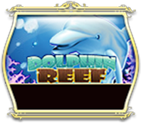 Dolphin Reef