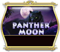 Panther Moon