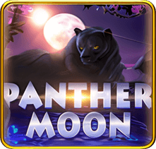 Panther Moon