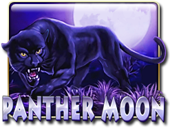 Panther Moon